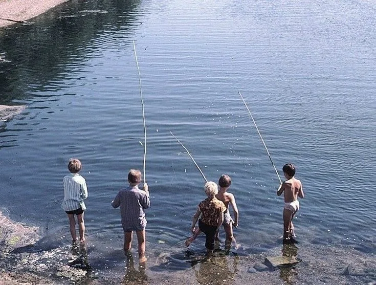 фото из яндекс картинки