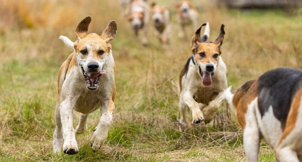    Michael Matthey/dpa/Global Look Press / www.globallookpress.com