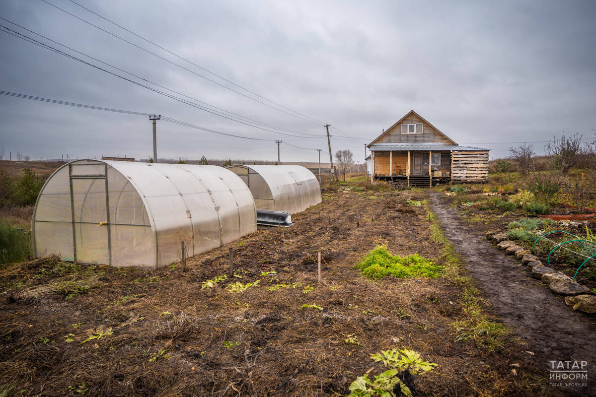 Фото: © Владимир Васильев / «Татар-информ»