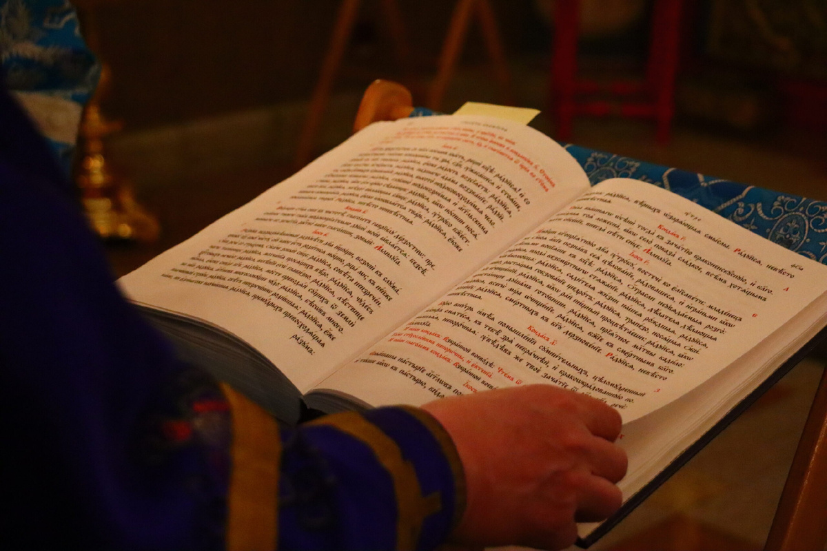 Яндекс Картинки