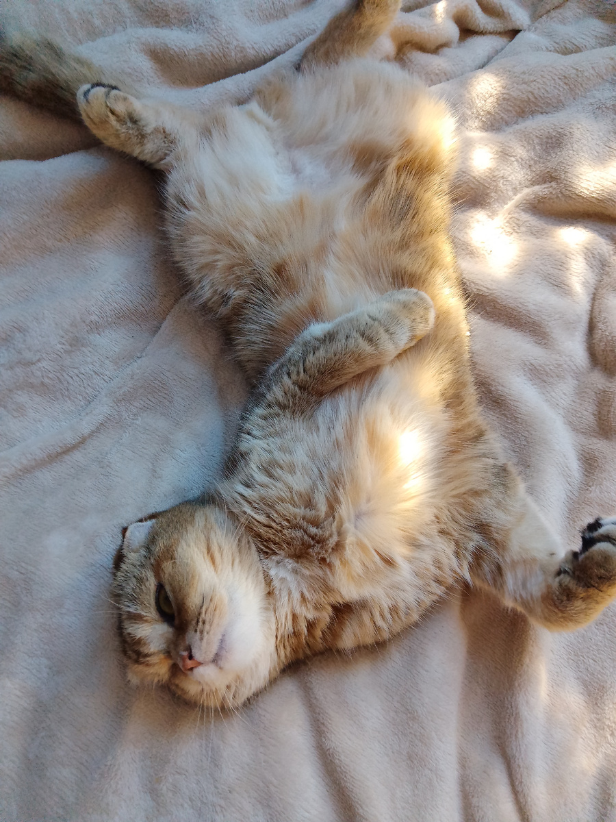 Не трусь, нормально я тебя сюжетами обеспечу! Не сомневайся. Главное, чтоб у тебя перекиси хватило