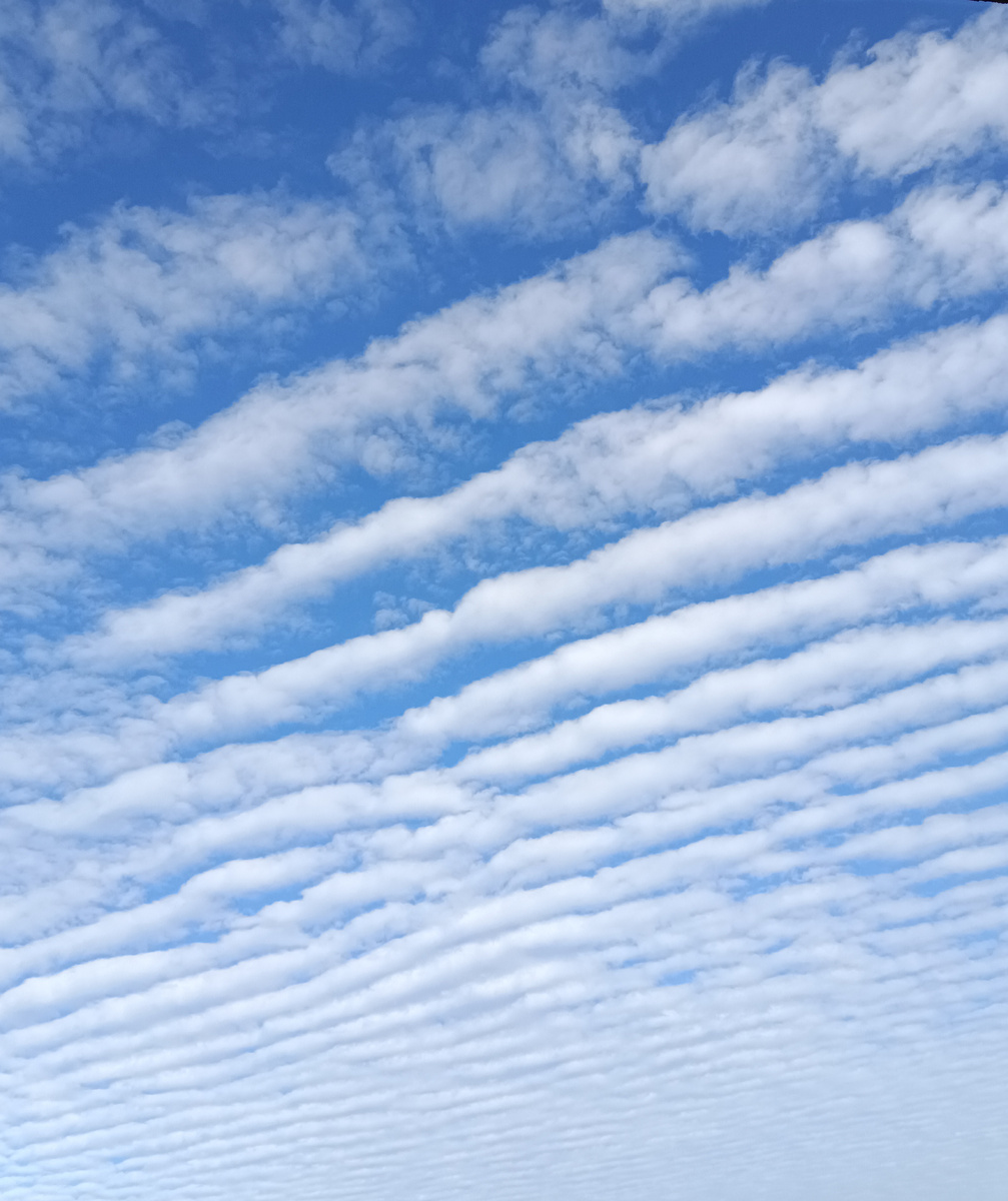 Я насчитала 16 линий, с относительно чёткими границами.