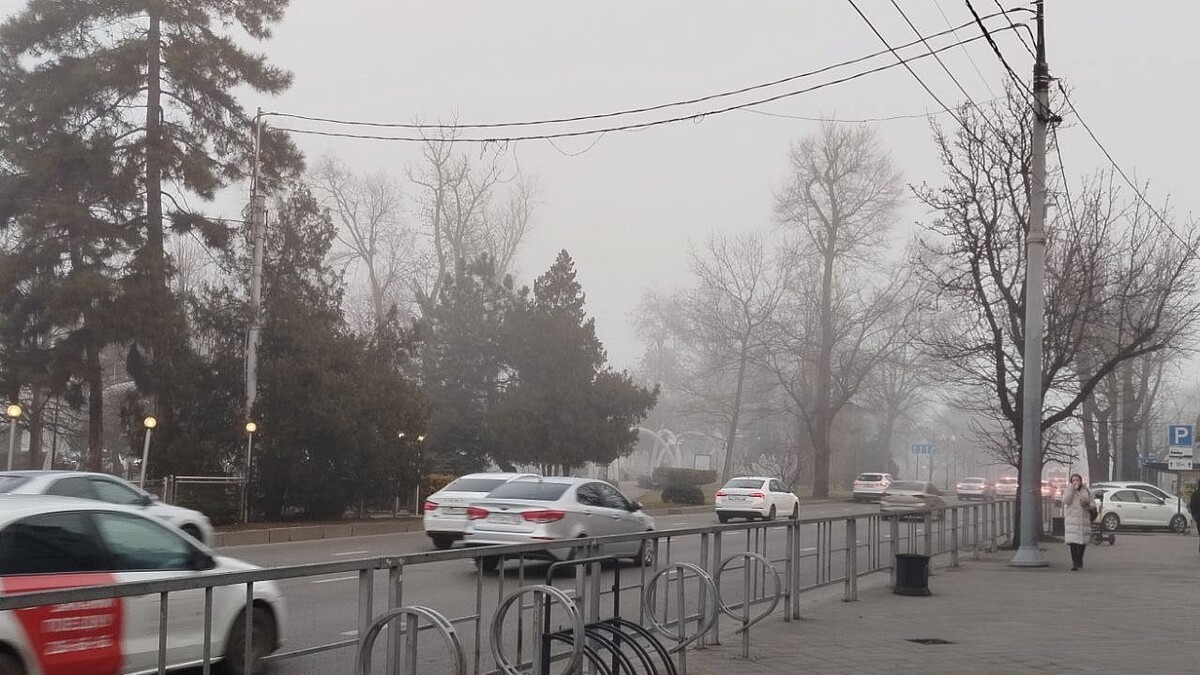    Фото: телеканал «Краснодар»