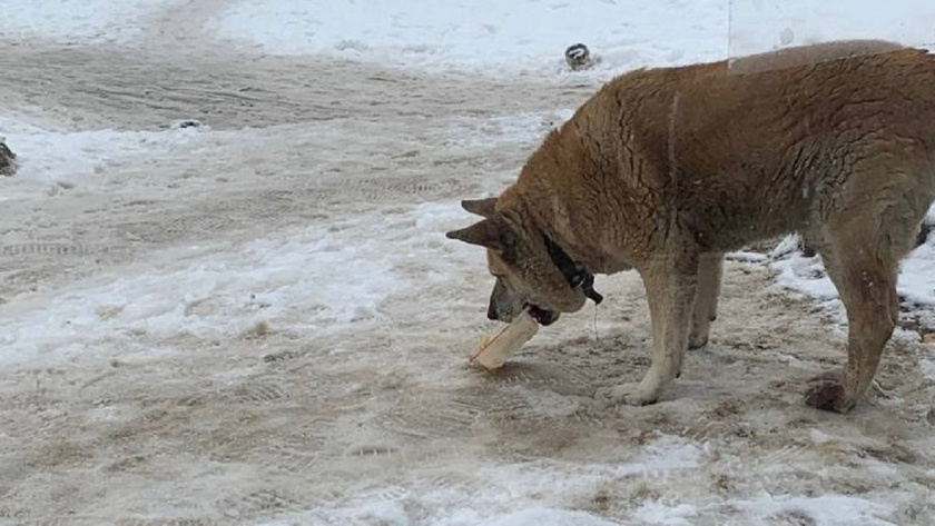    Фото: архив редакции