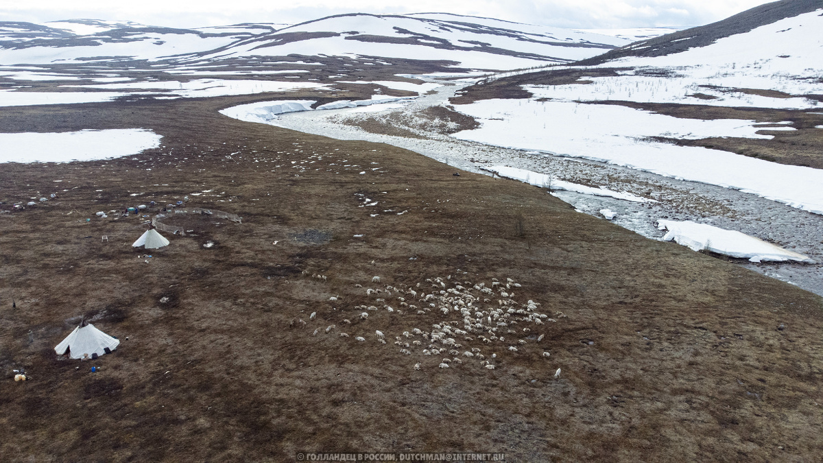 Место в тундре в Уральских горах, где мы жили. Фото: Голландец в России