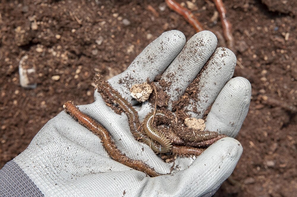    Фото: freepik.com