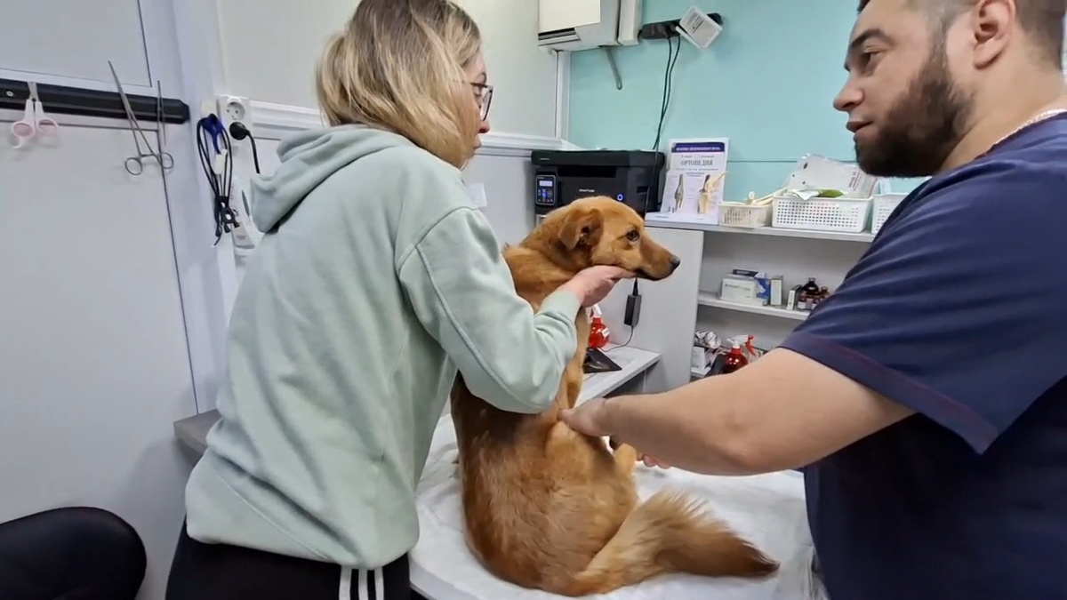 Надо отдать должное , Степашке вёл себя достойно.