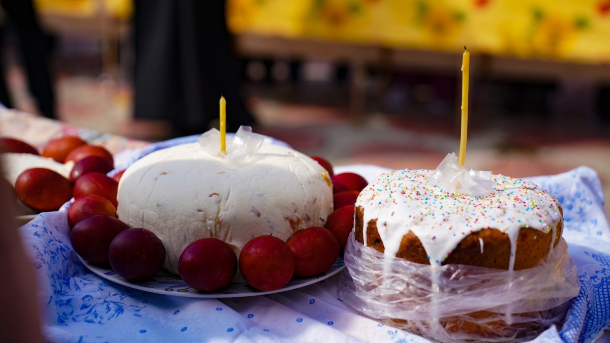 Светлана Мулыкина📷
