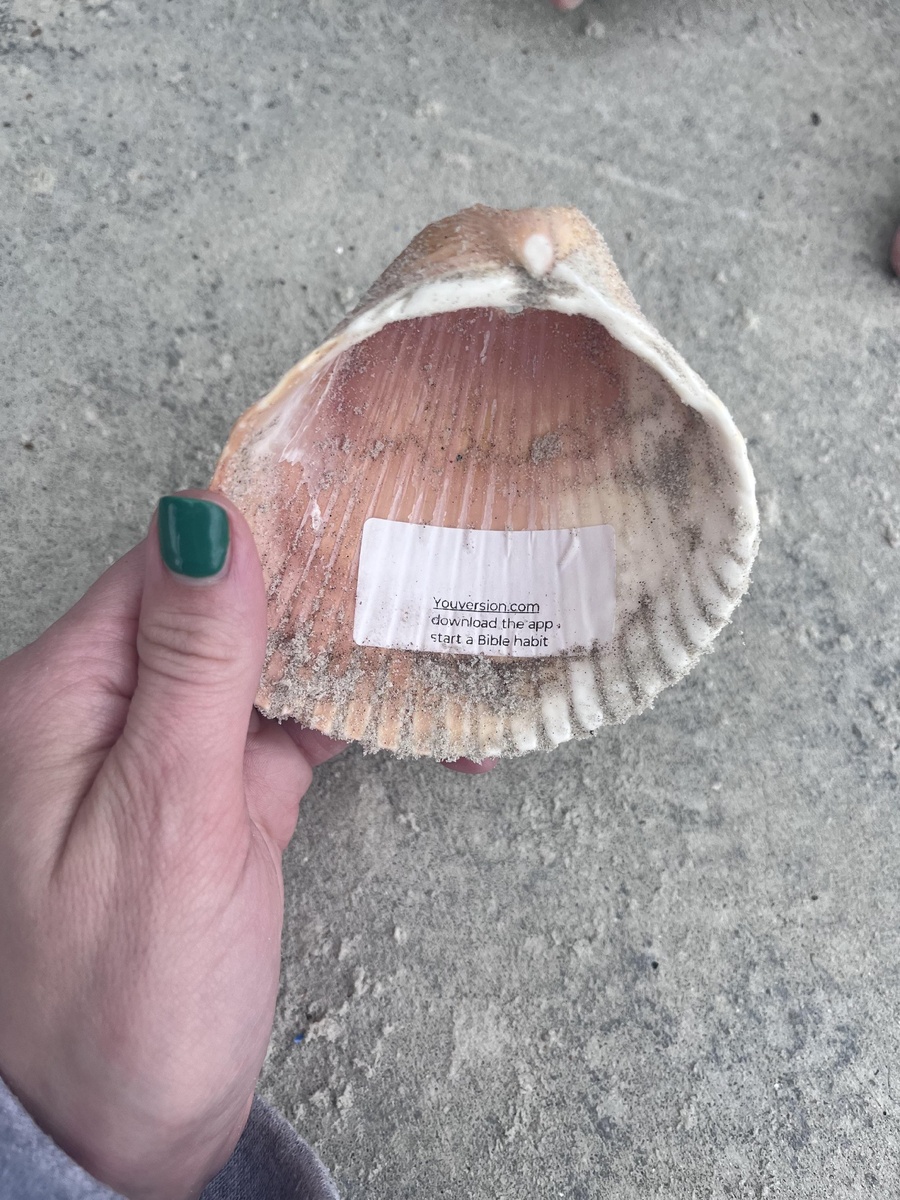 Источник: mo8816 / https://bit.ly/4v4TY42 