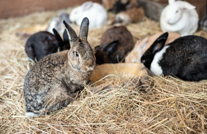    Игорь Низов / Фотобанк Лори
