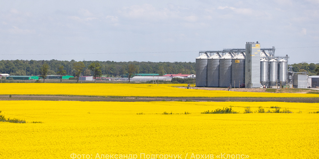 Калининградские аграрии завалят китайский рынок жмыхом, шротом и маслом