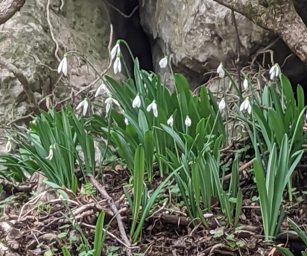    Фото Натальи Яковлевой Валерия Стальная
