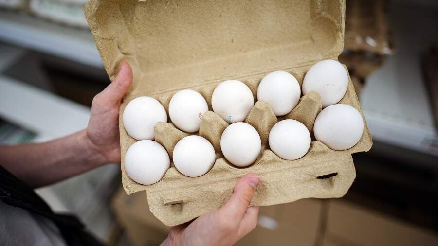    Фото: ИЗВЕСТИЯ/Сергей Лантюхов