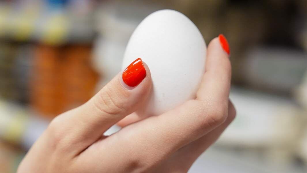    Фото: ИЗВЕСТИЯ/Эдуард Корниенко