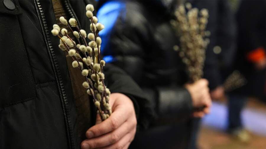    Фото: ИЗВЕСТИЯ/Эдуард Корниенко