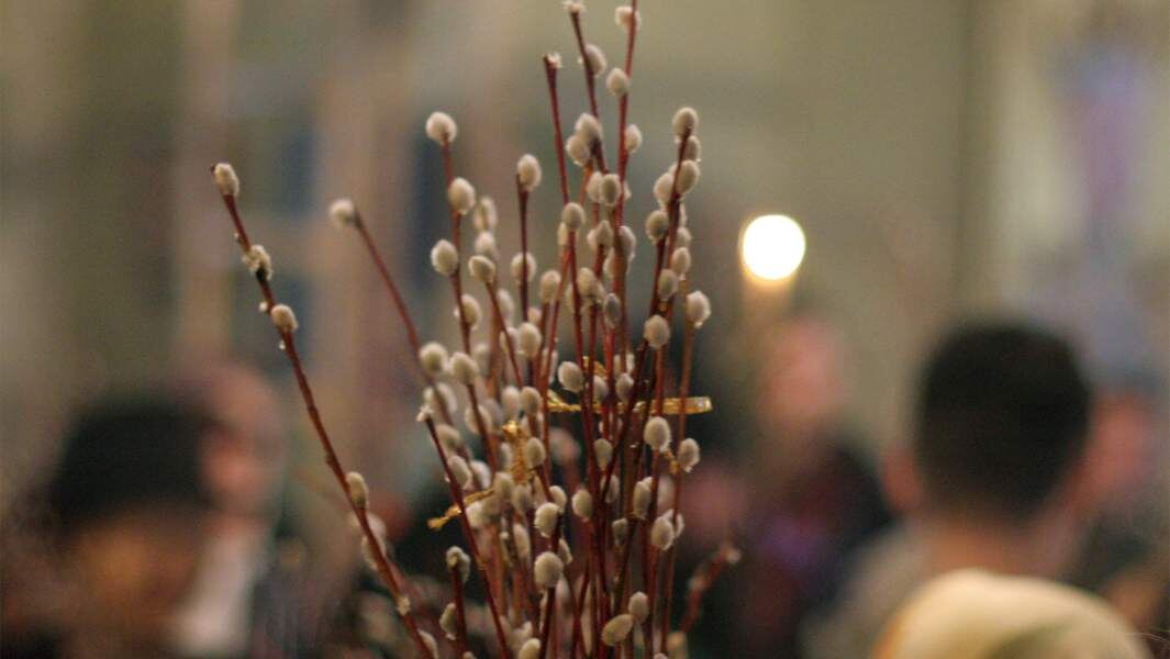    Фото: Global Look Press/Daniil Ivanov