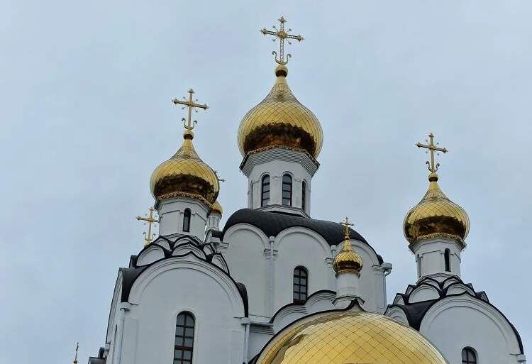    Фото: Е. Богачева. Газета "Земля"