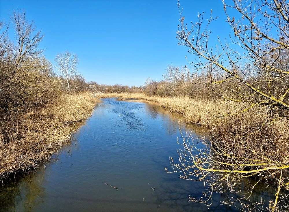    Фото: Е. Богачева. Галина Ященко