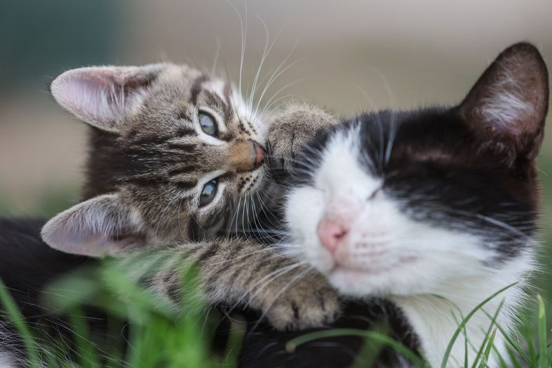    Алексей Белкин/NEWS.ru