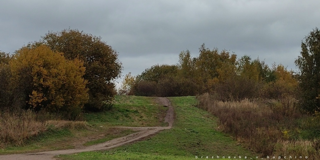 82 тонны выбросов метана: что проект рекультивации сделает с Яблоновским садом