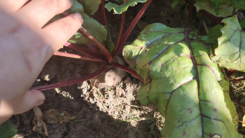    Фото редакции