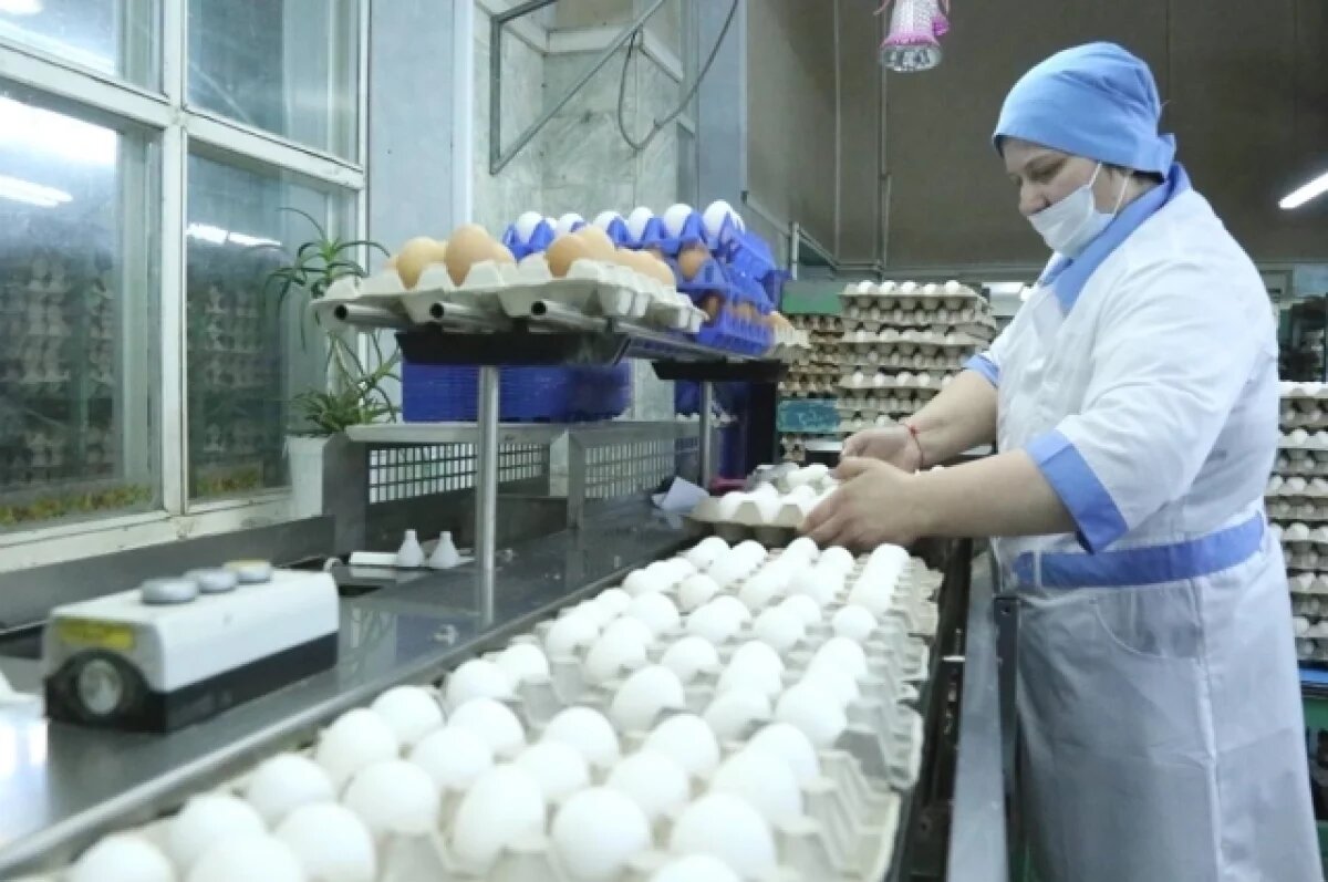    На Камчатке АО «Пионерское» в апреле откроет новый птичник