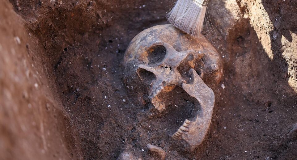    Jan Woitas/dpa / www.globallookpress.com