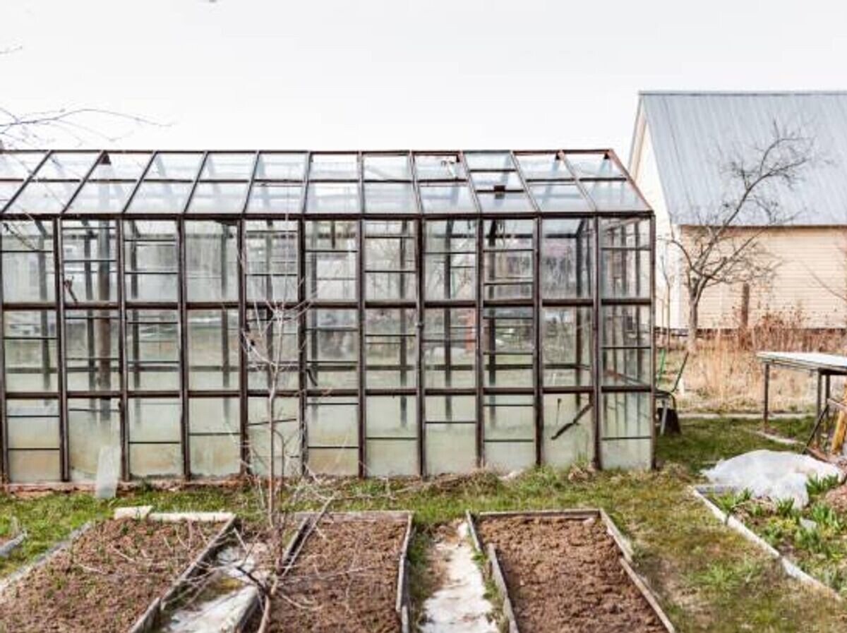    дача | © iStock.com