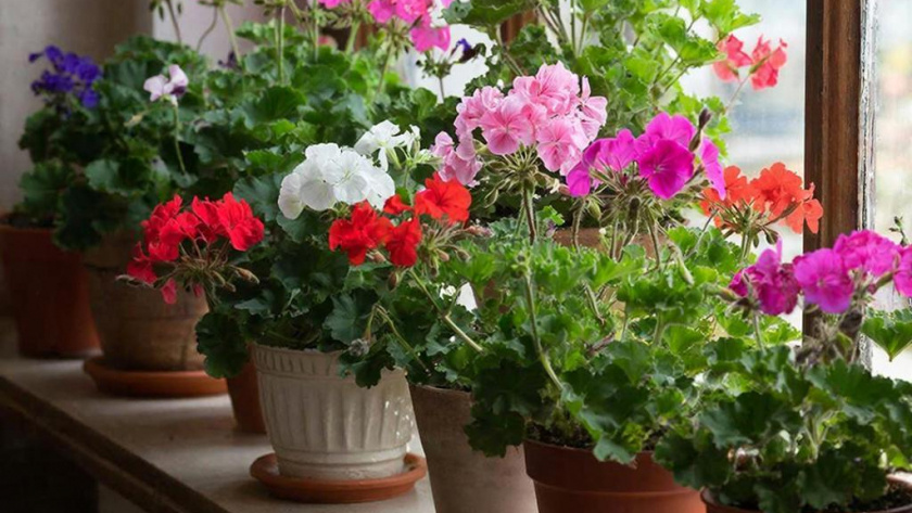    Сгенерировано в нейросети