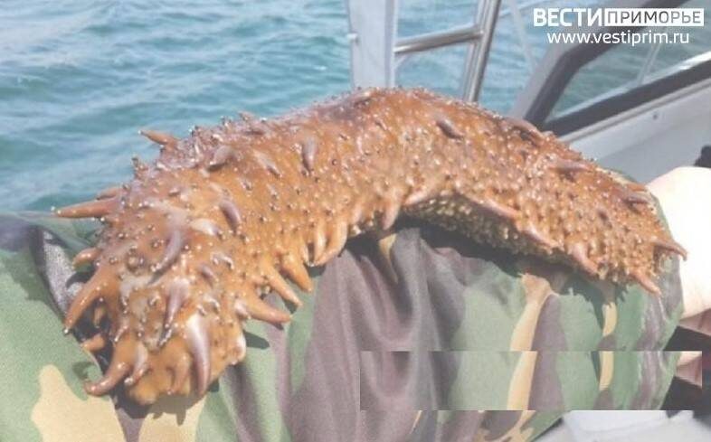    Источник фото: