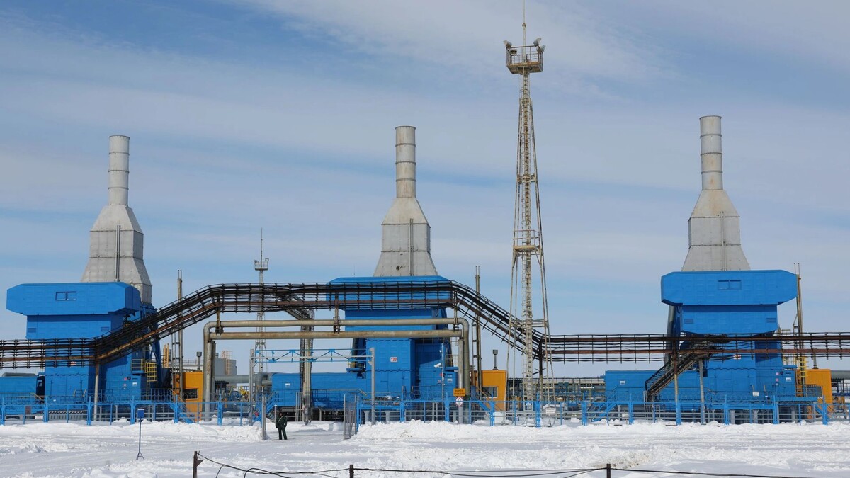    Фото: Андрей Ткачев / «Ямал-Медиа»