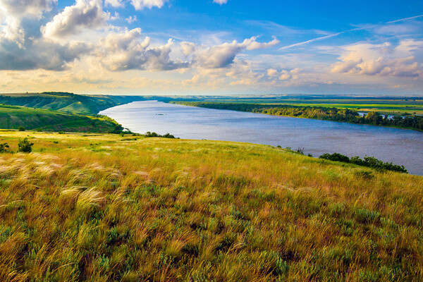 Mikhail Gnatkovskiy/Shutterstock/FOTODOM   📷