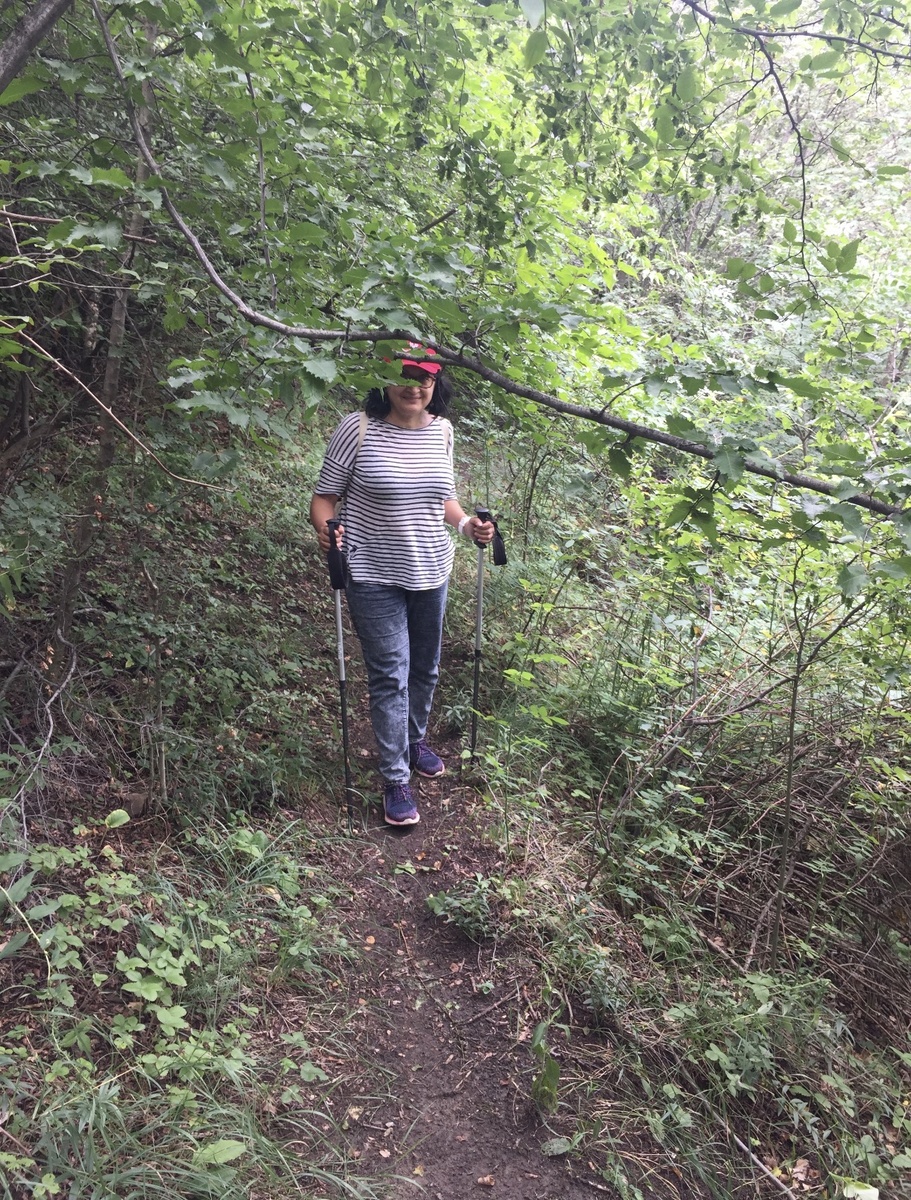 Поход в лесах Арчиса 