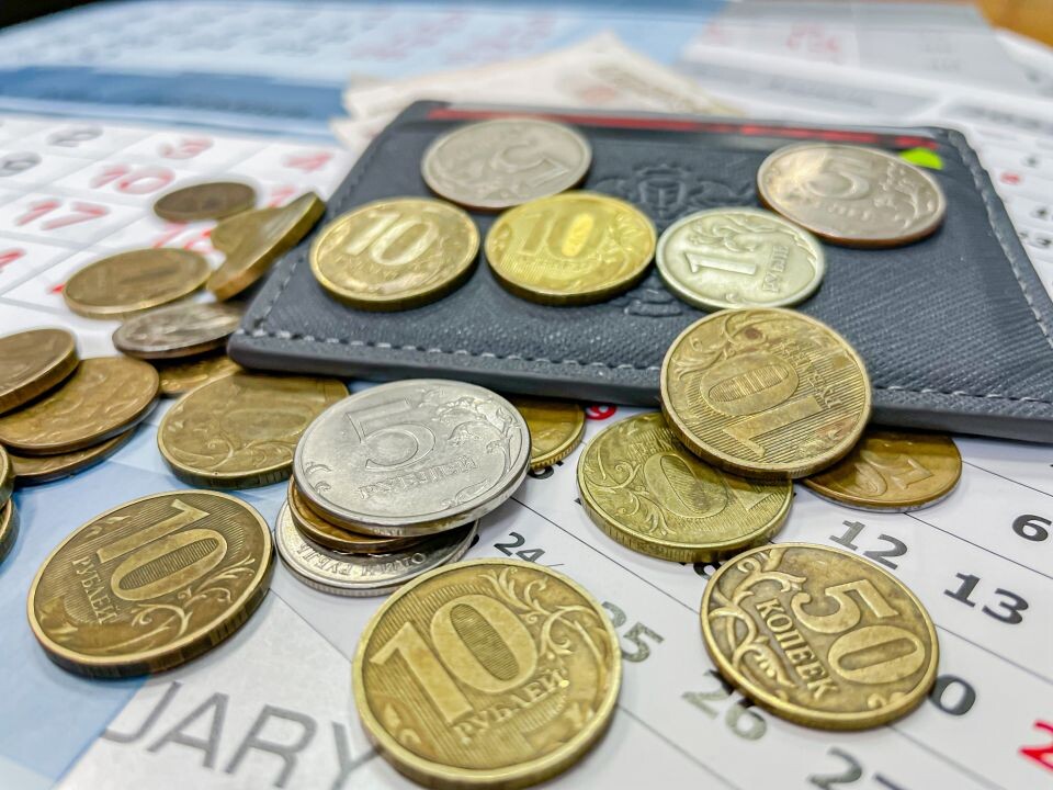    Деньги, зарплата. Источник: Виталий Барабаш