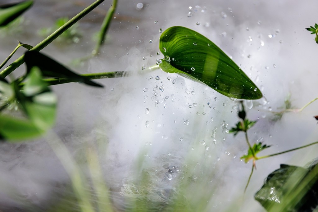    Фото © Дмитрий Дубинский / Абзац