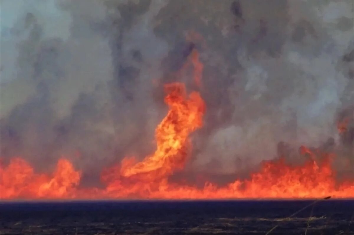    В Приморье за минувшие сутки выгорело 1168 гектаров леса и полей