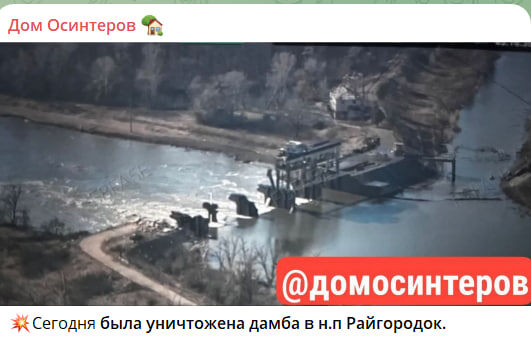    Скриншот с канала "Дом Осинтеров"