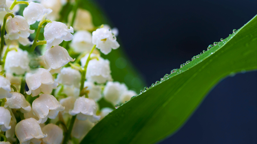   Фото: www.globallookpress.com/IMAGO/Zoonar.com/Petr Dvorak