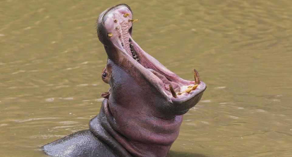    Christina Krutz/http://imagebroker.com/#/search / www.globallookpress.com