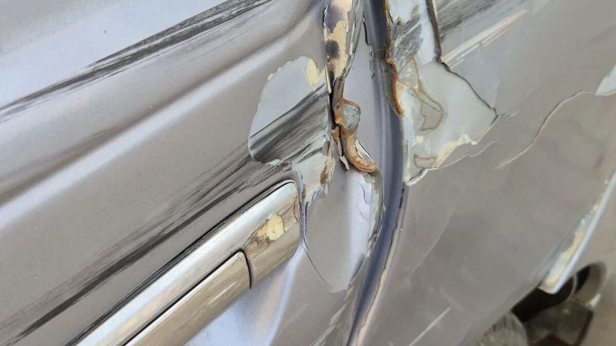    Фото: телеканал «Краснодар»