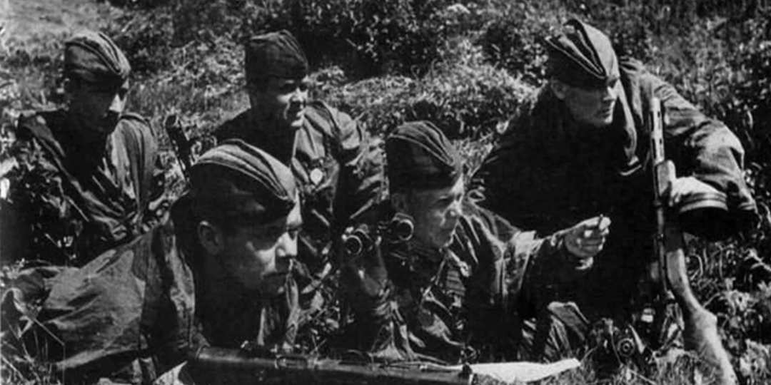 Встреча в Гороховке