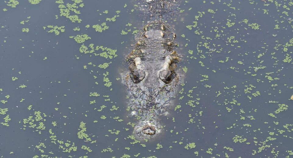    Teera Noisakran/Keystone Press Agency / www.globallookpress.com