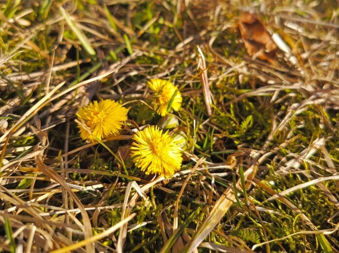    Фото: v-kurse.ru