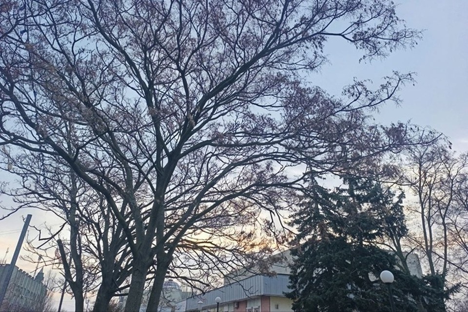    В среду, 25 марта, метеорологическая обстановка в Херсонской области будет отличаться спокойным характером. Фото: администрация Генического округа