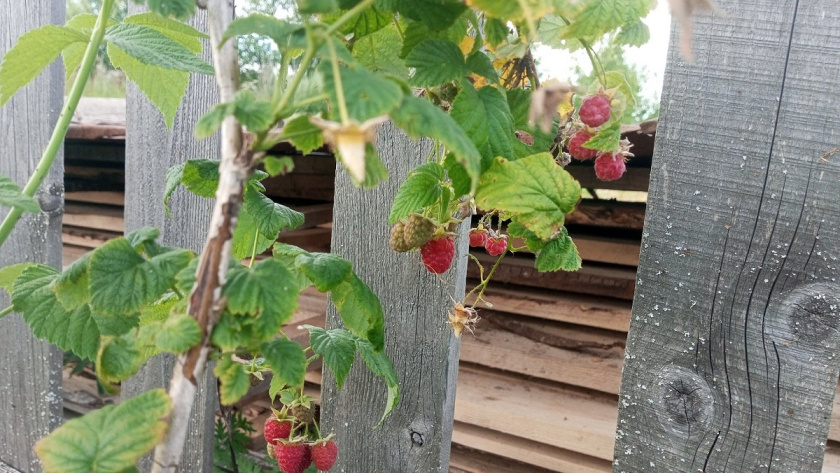    фото из архива редакции