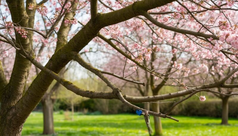    Фото: Шедеврум admin