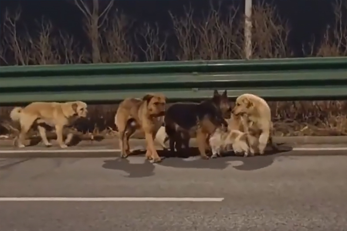    Фото: соцсети