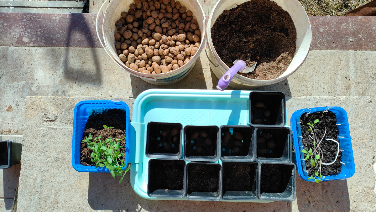 24.03.26 Всё для пикировки томата