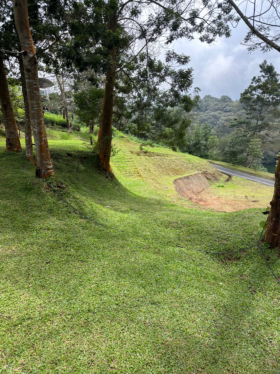 Местами это просто альпийские луга какие-то