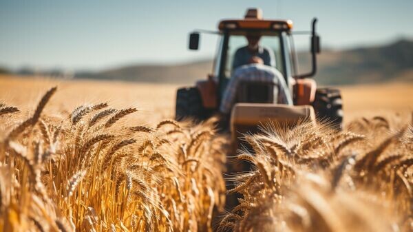    © Фото : CC0, Freepik